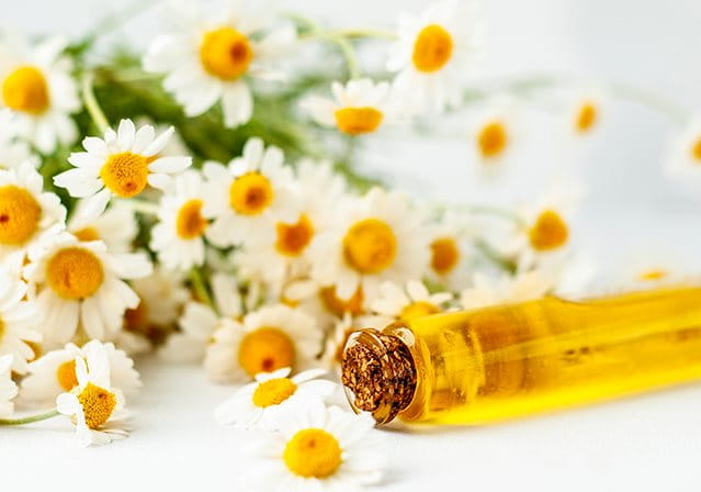 bisabololo: cosa è e come funziona