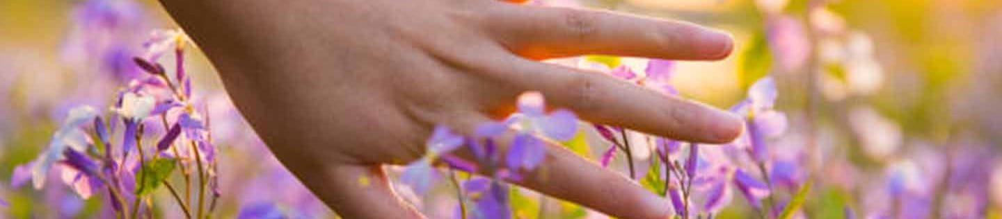 prodotti refill per salvaguardare ambiente