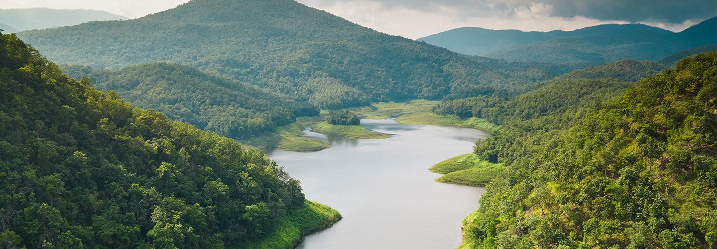 Clean river running through a forest. 