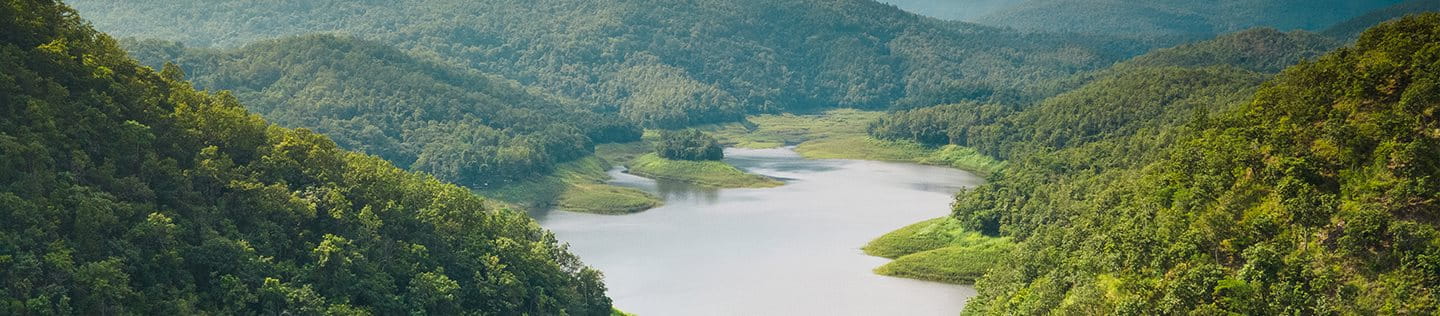Metsän halki virtaava puhdas joki.