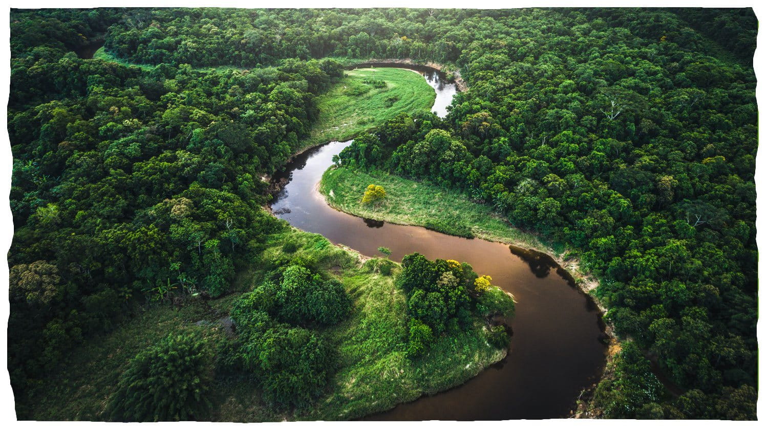 Een rivier die door een weelderig bos kronkelt