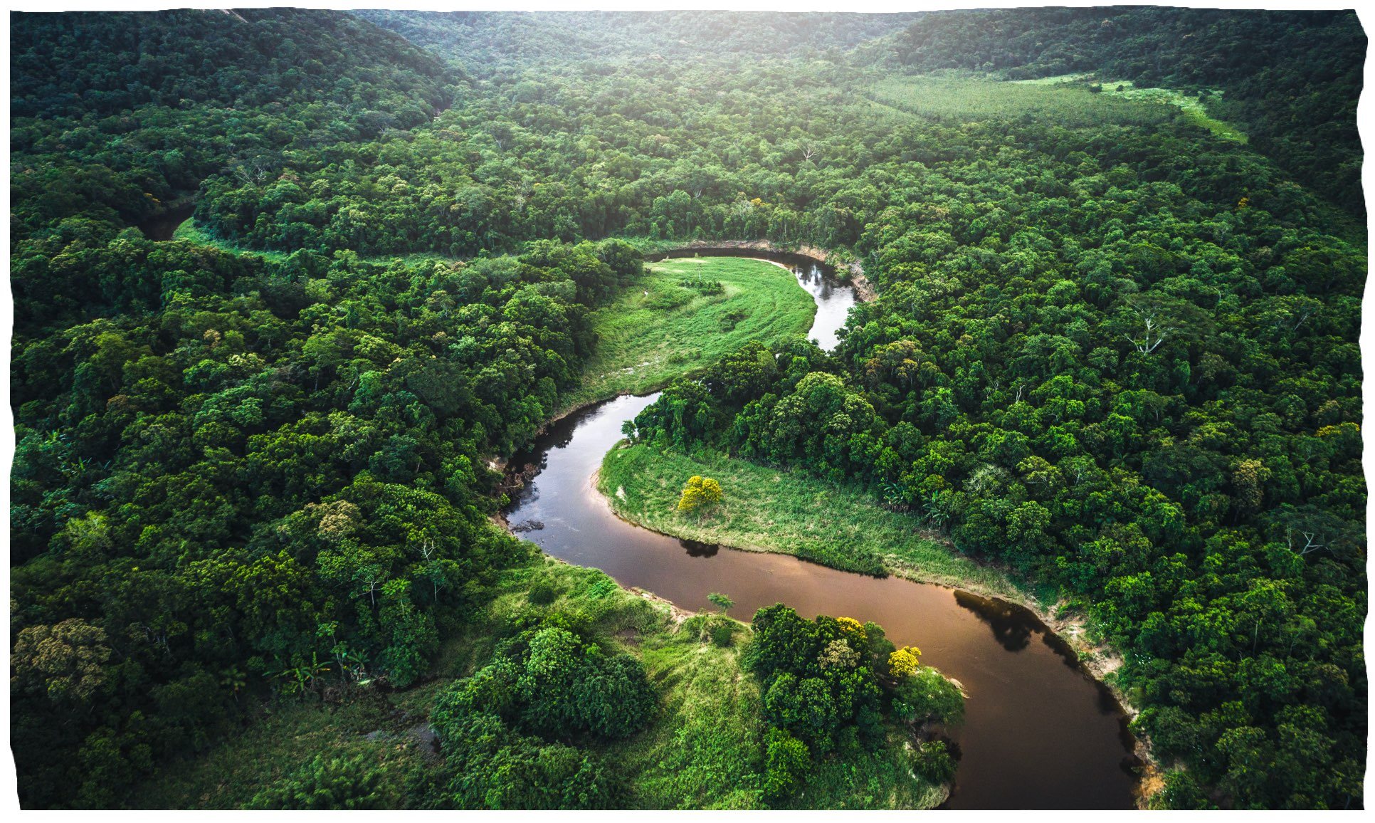 Ein Fluss, der sich durch einen dichten Wald schlängelt.