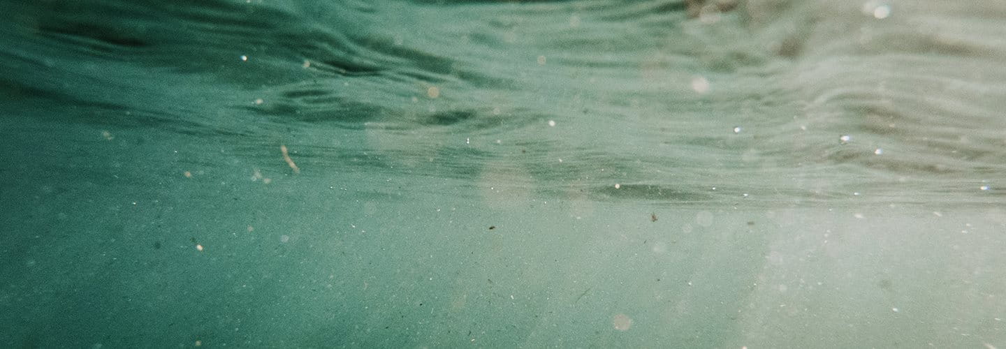 Microplastics floating in water