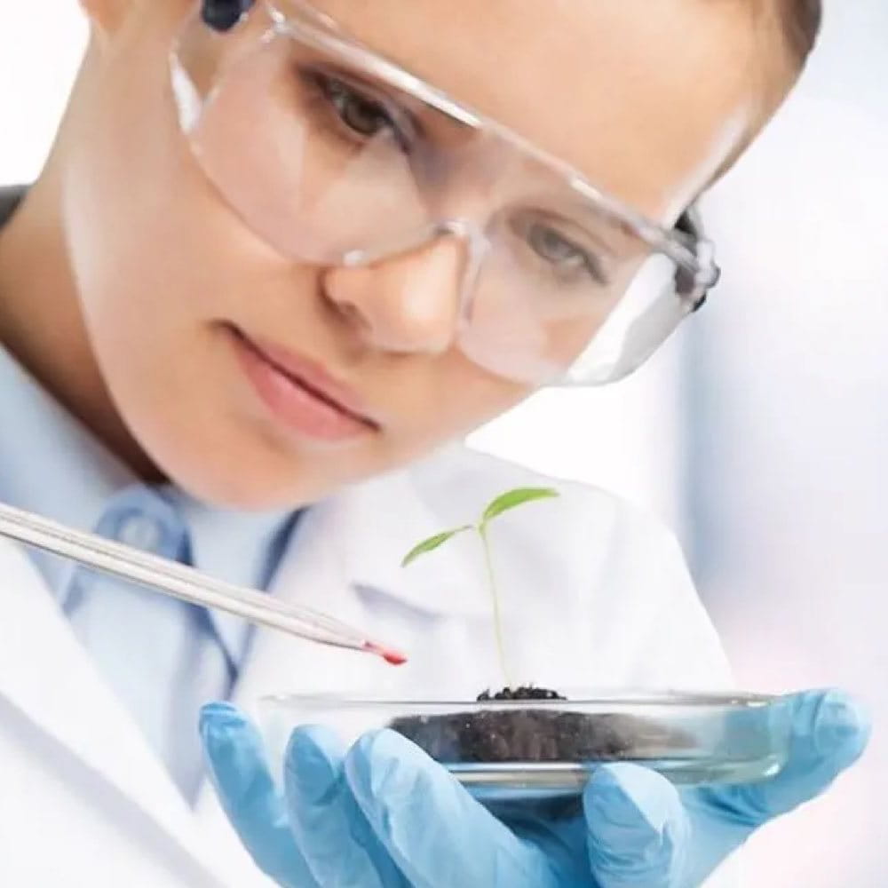 A scientist carefully drips a chemical sample onto a plant.