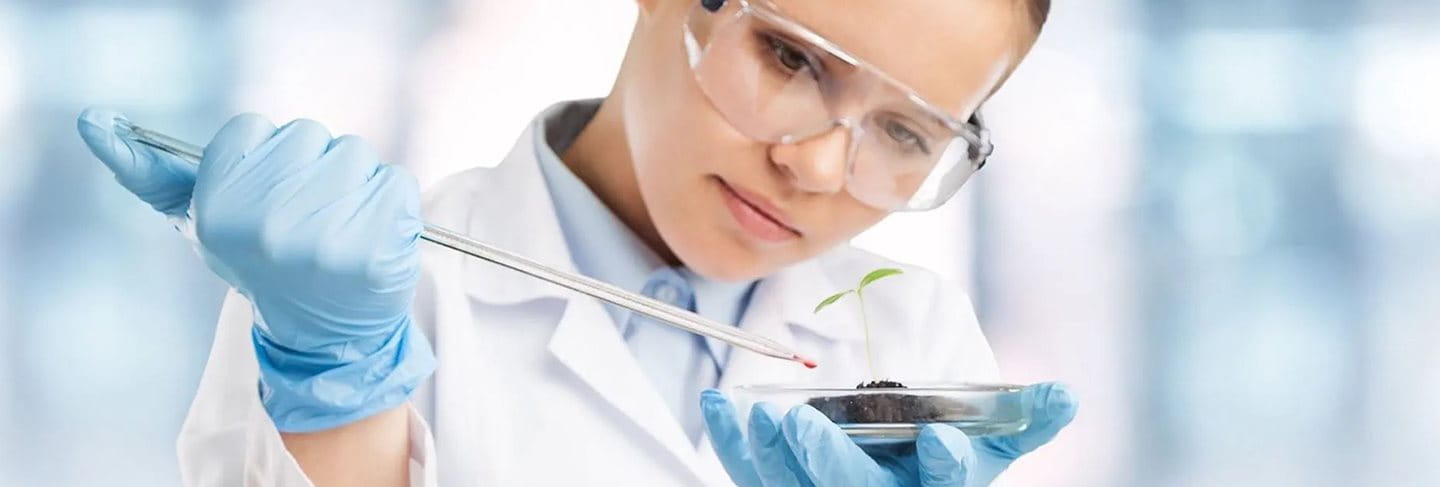 A scientist carefully drips a chemical sample onto a plant.