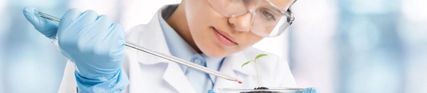 Un científico gotea cuidadosamente una muestra química en una planta.