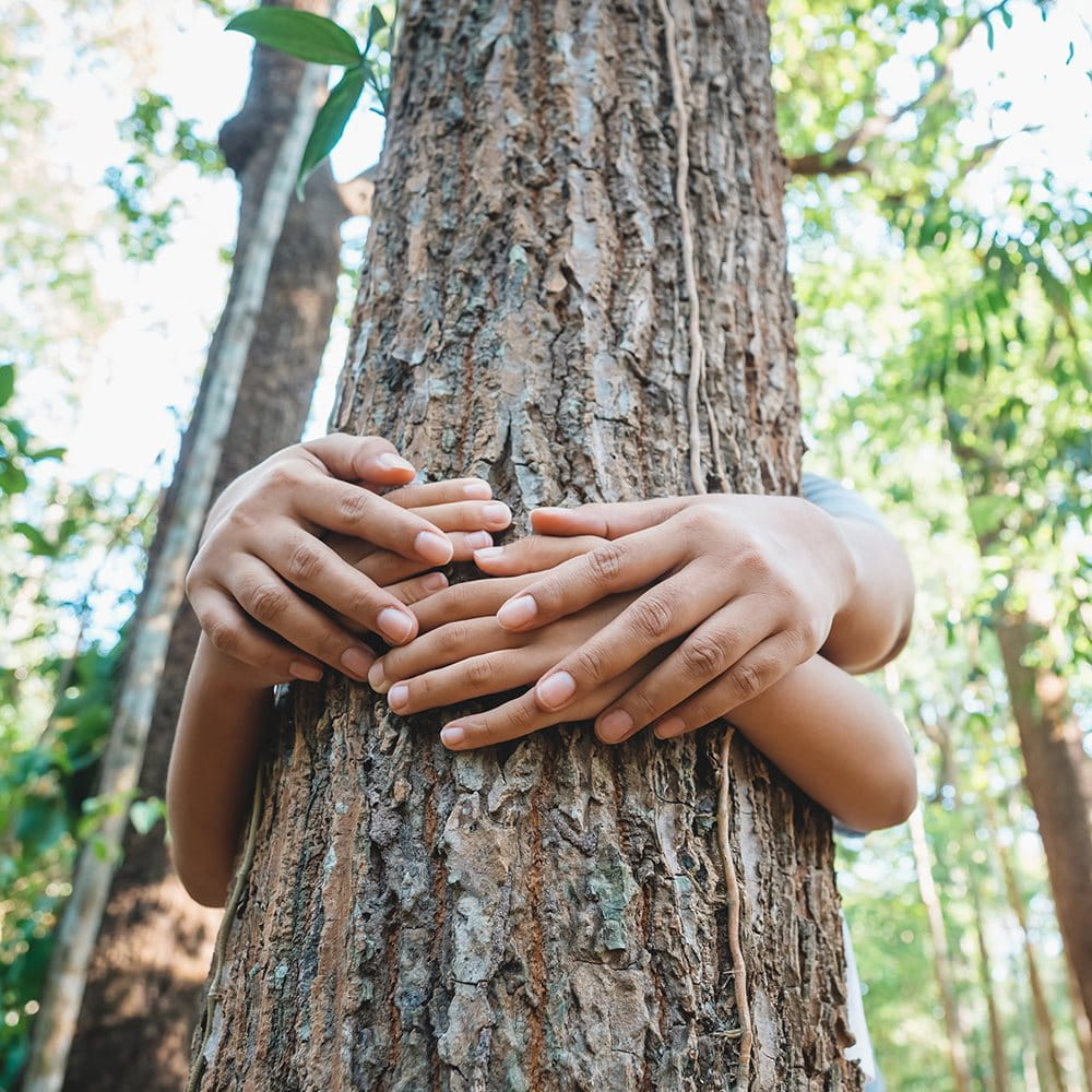 Two people hugging a tree.