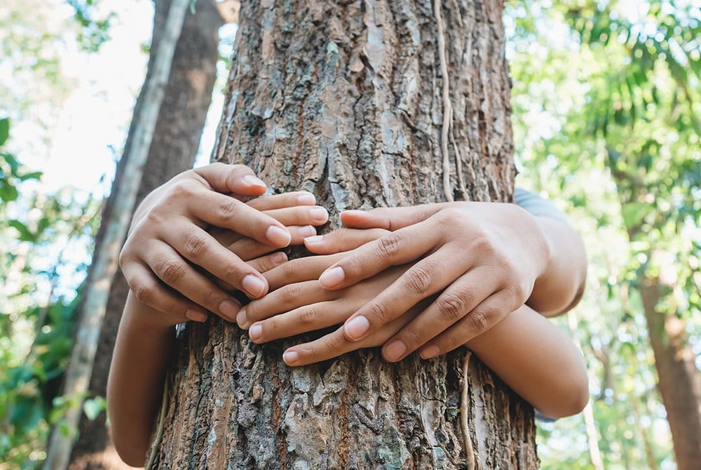 Händer och armar från två personer som kramar ett träd