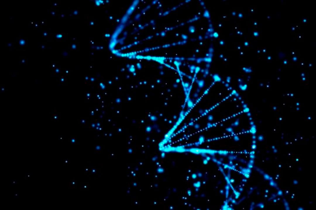 epigenetica-vuelve-atras-en-el-tiempo-en-tu-edad-biologica