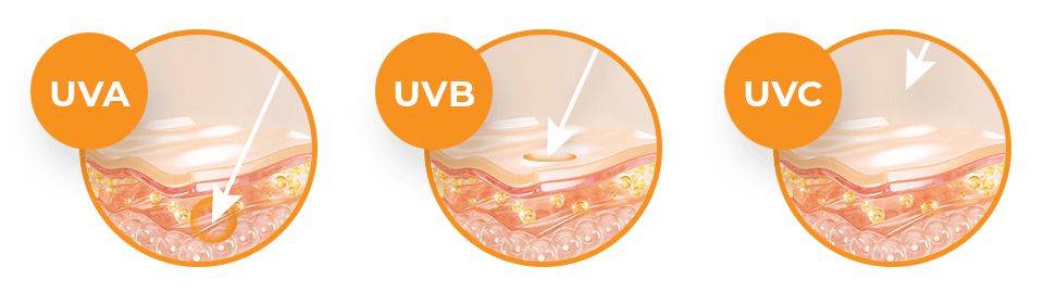 ¿Cómo actúan los rayos UV sobre la piel?