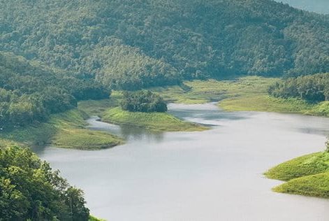 Une rivière propre coulant dans une forêt.