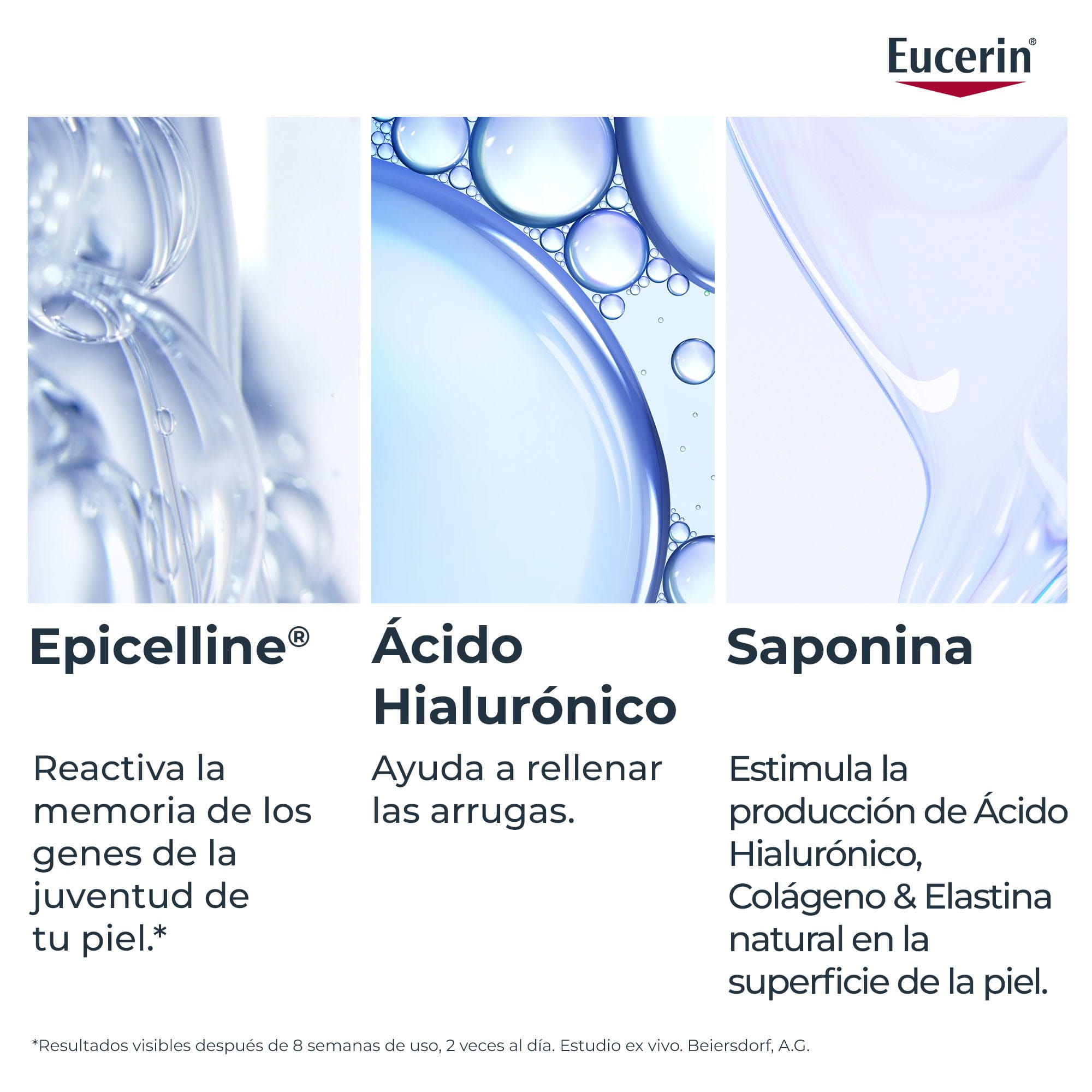 Componentes principales del Sérum Epigenético.