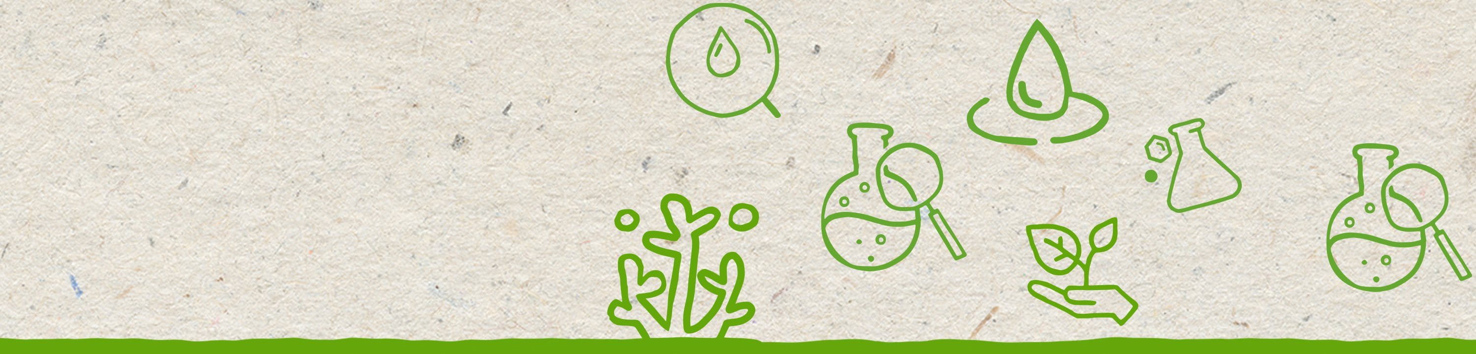 Illustrations vertes abstraites de récifs coralliens et d