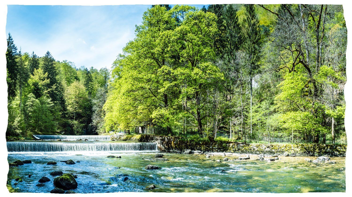 En ren flod med ett litet vattenfall som rinner genom en skog.