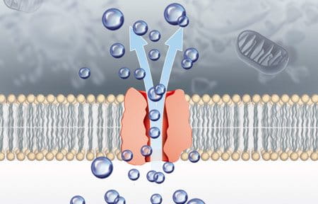 psoriase tratamento topico