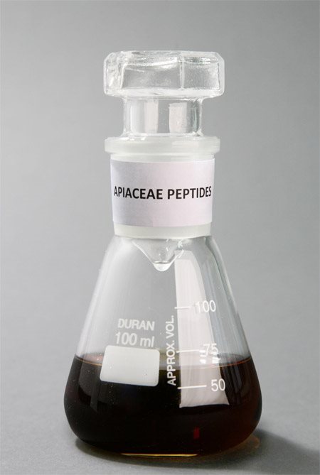 conical flask with Apiaceace-Peptides