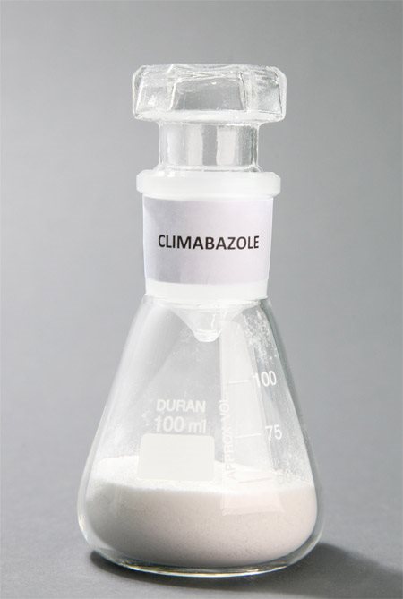 conical flask with Climbazole