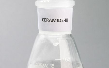 What are Ceramides?