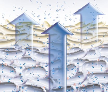 Illustration of natural moisture factors evaporating out through the skin
