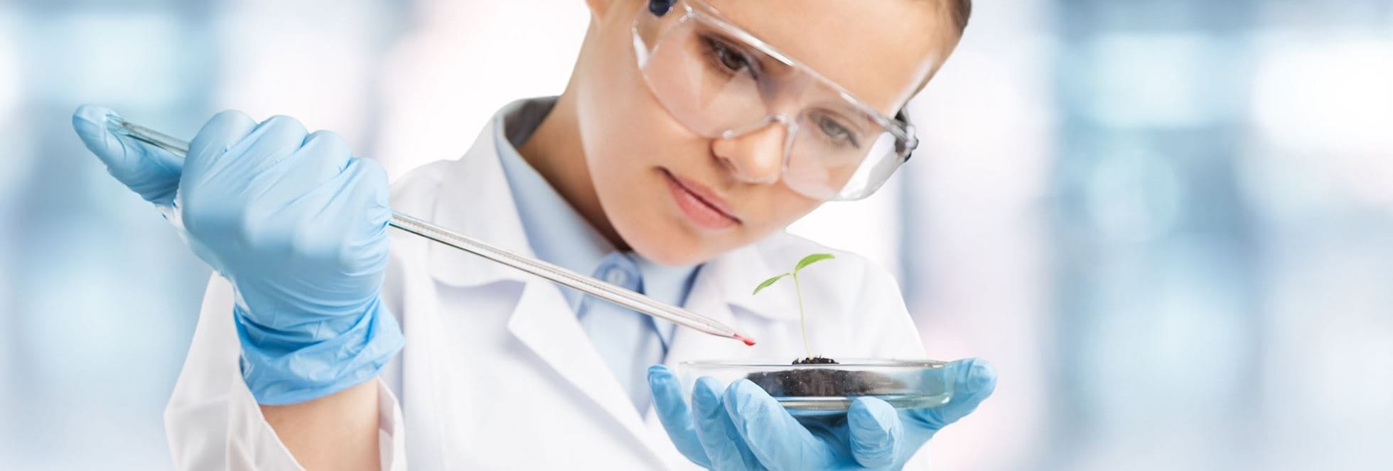 Een wetenschapper druppelt voorzichtig een chemisch monster op een plant.