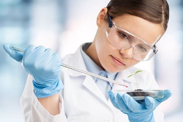 Un científico gotea cuidadosamente una muestra química en una planta.