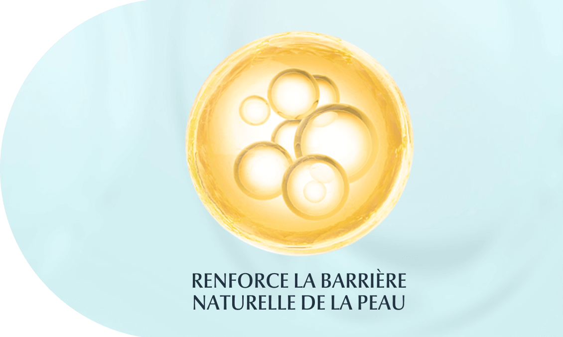 Une balle jaune et de petits cercles à l’intérieur, signifiant que les céramides renforcent la barrière naturelle de la peau