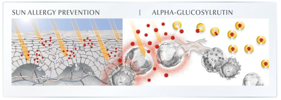 Prévention des allergies solaires avec Eucerin Sun Protection Leb Protect Crème-Gel.
