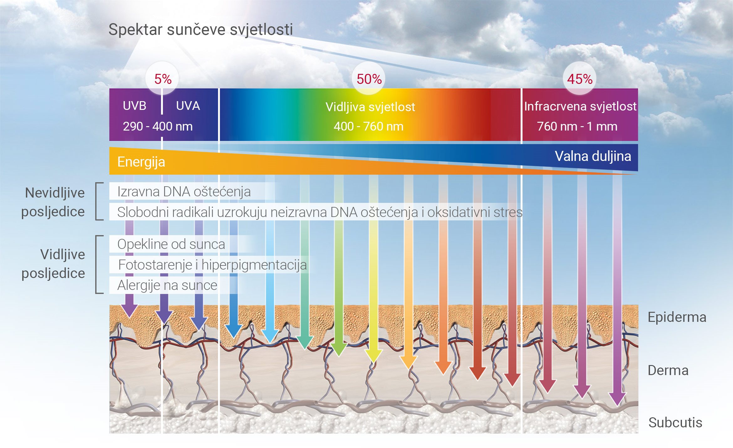 animacija spektra UV svjetlosti i kako utječe na kožu