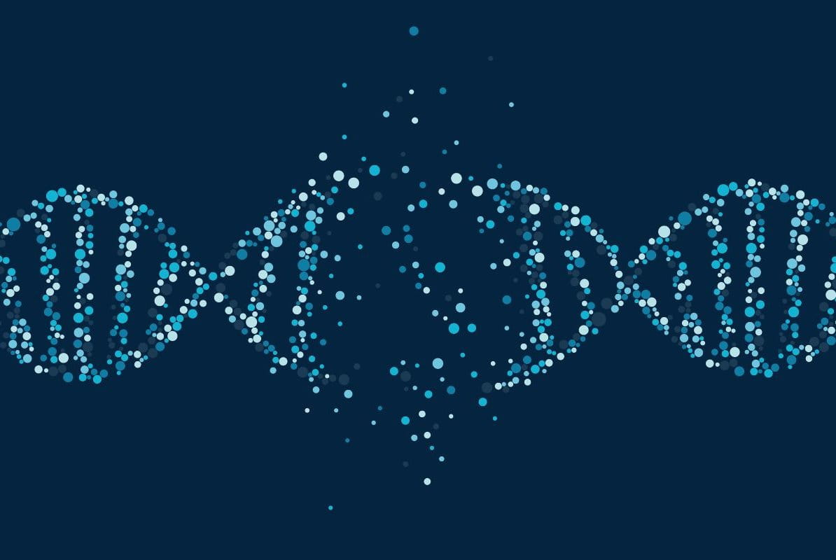 ปัจจัยที่ส่งผลต่อการทำงานของ Epigenetic
