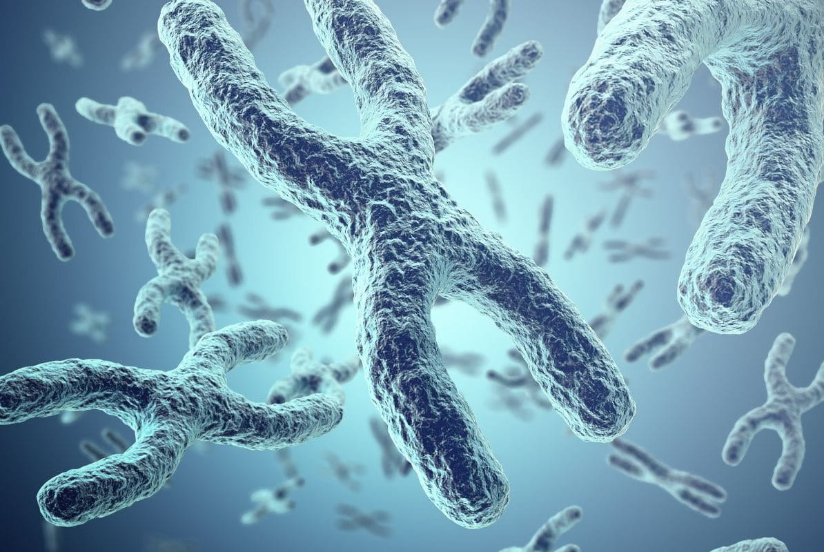 āđāļāđāļĨāđāļĄāļĩāļĒāļĢāđ āļāļ·āļāļāļ°āđāļĢ