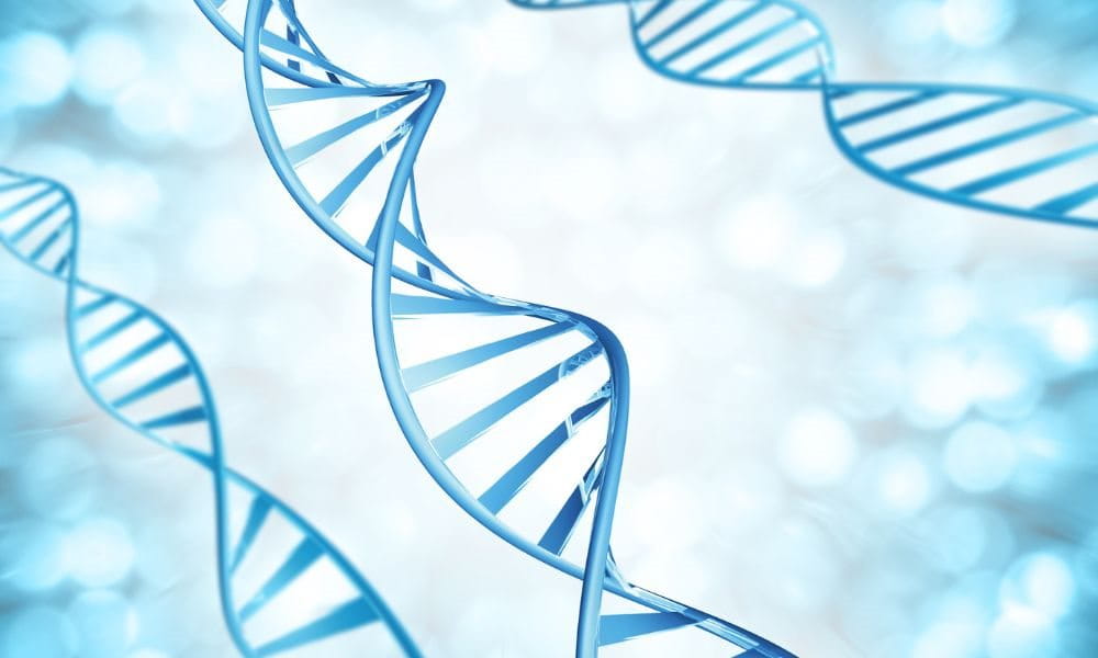 DNA