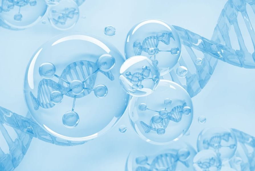 ย้อนวัย