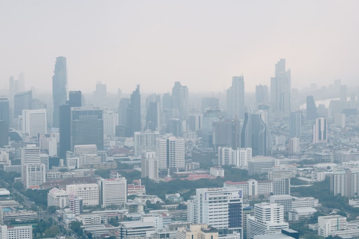 ภูมิแพ้อากาศ