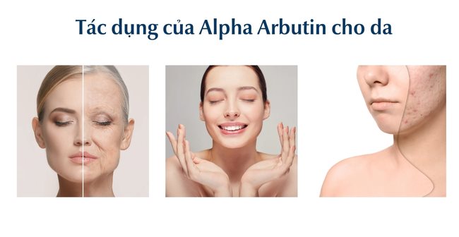 Tác dụng của Alpha Arbutin là gì đối với làn da?