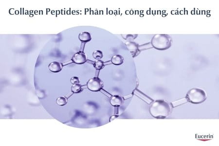 Collagen Peptides Là Gì?