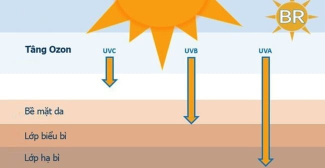 Chỉ số gây hại của các loại tia UV