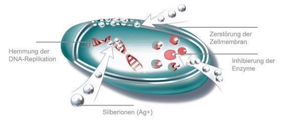 Mit aktueller Silber-Technologie gegen Bakterien