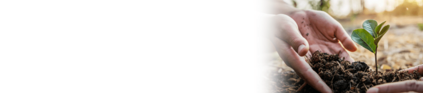 Des mains versent de la terre dans l'herbe