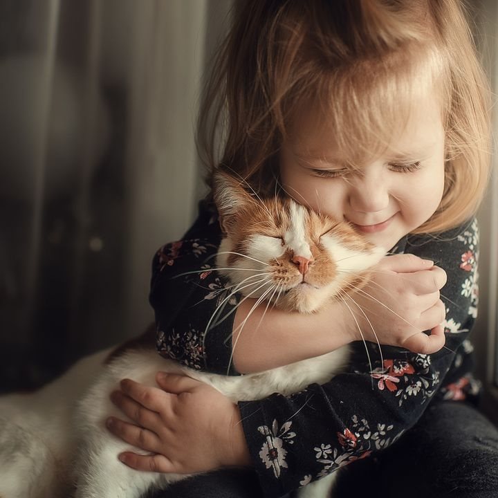 young girl hugging a cat