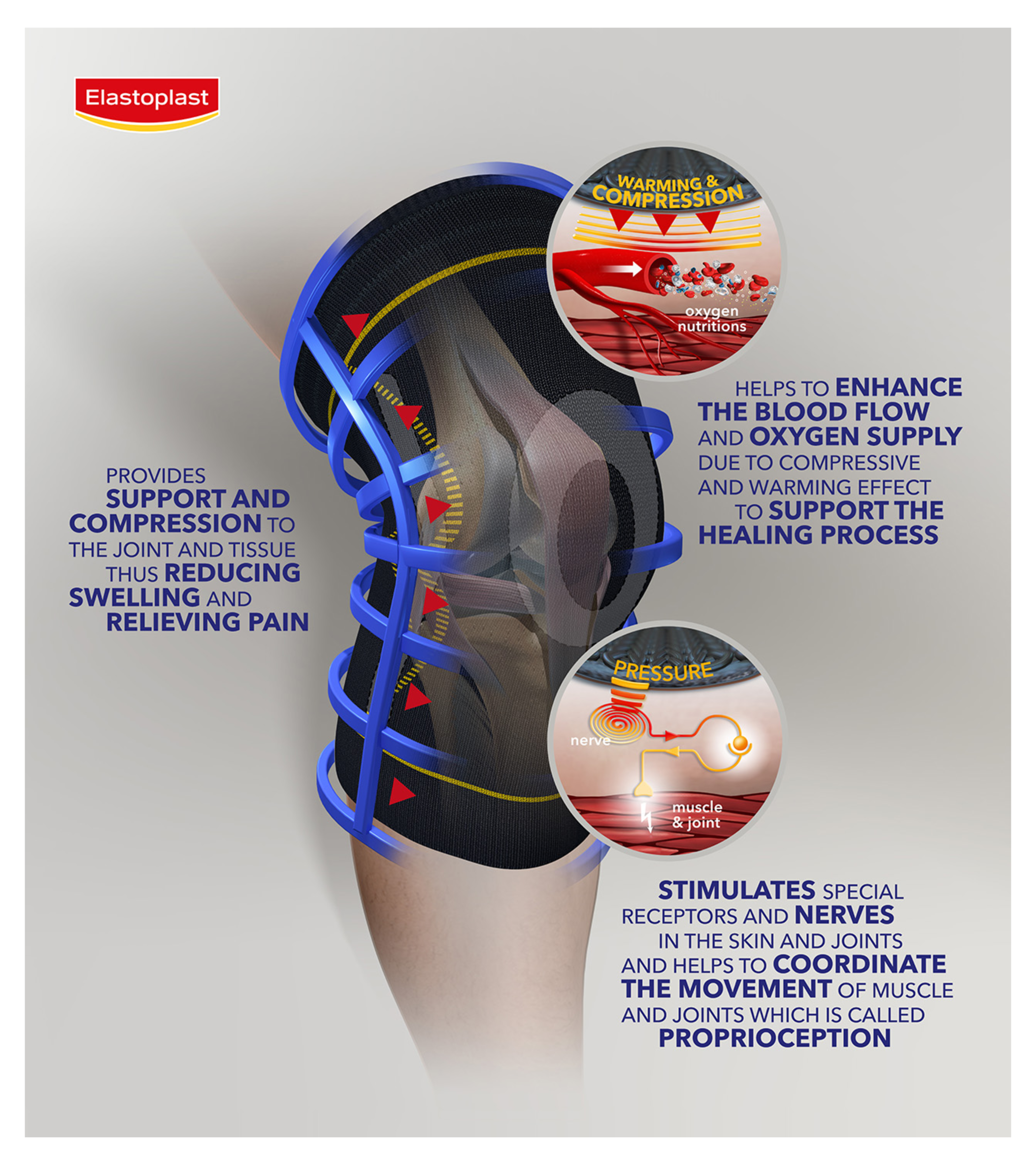 knee support